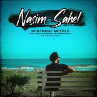Mohammad Mofrad Nasim Sahel