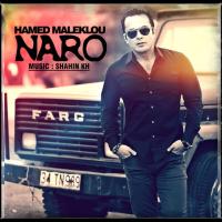 Hamed Maleklou Naro