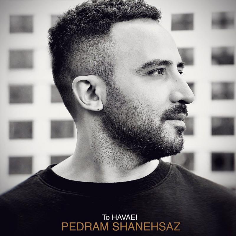 Pedram Shanehsaz To Havaei