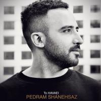 Pedram Shanehsaz To Havaei