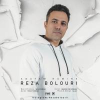 Reza Bolouri Adatam Hamine