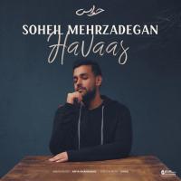 Soheil Mehrzadegan Havaas