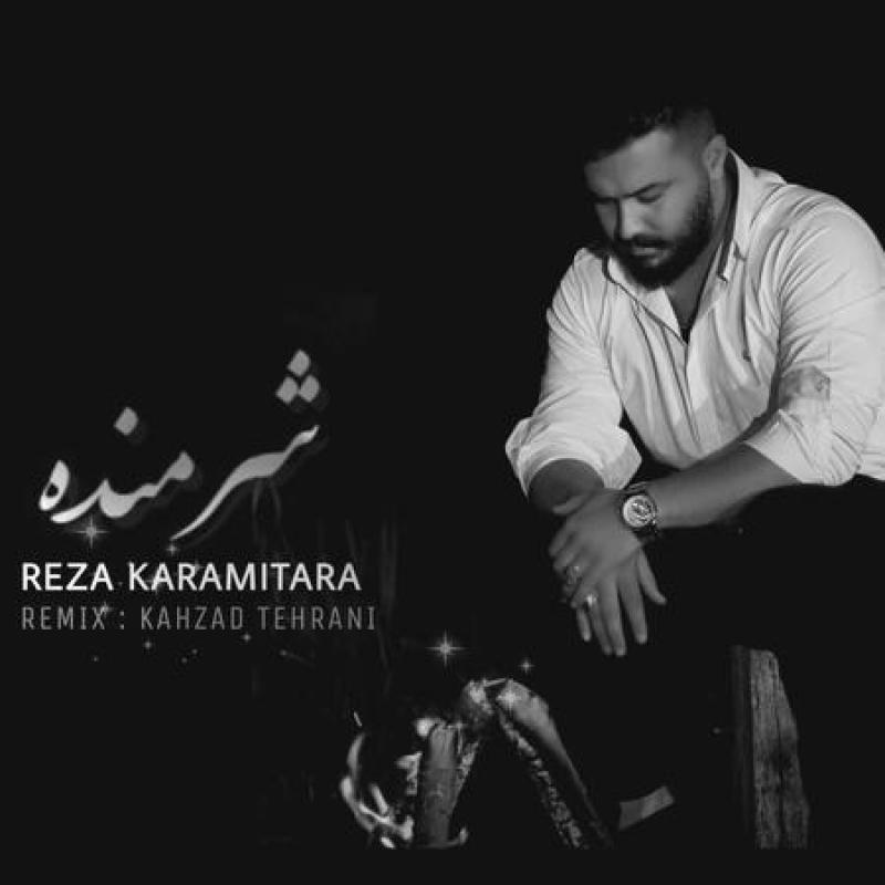 Reza Karami Tara Sharmande (Remix)