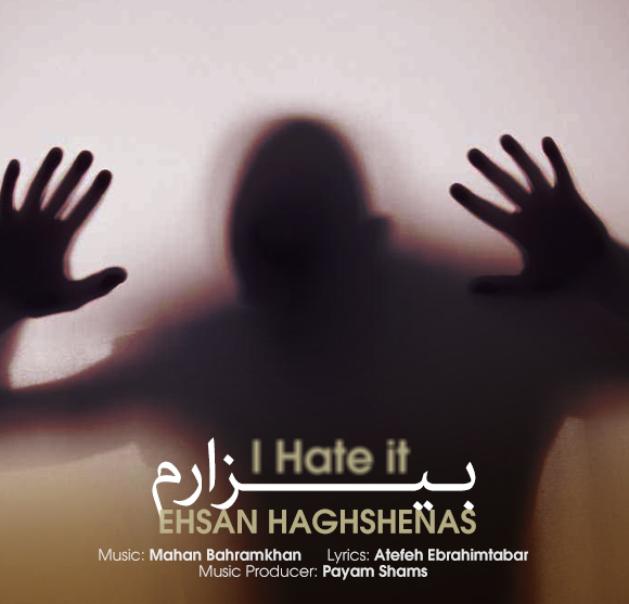 Ehsan Haghshenas Bizaram