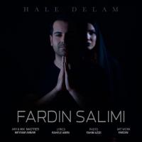 Fardin Salimi Hale Delam