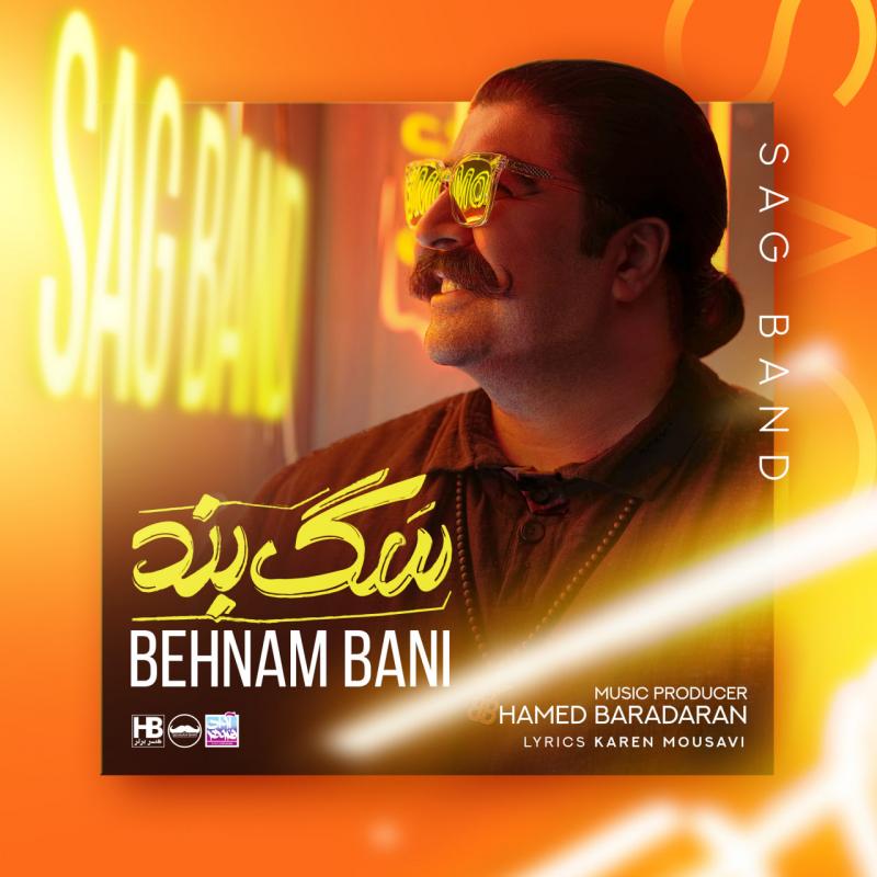 Behnam Bani Sagband