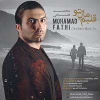 Mohamad Fathi Ghalbam Male To