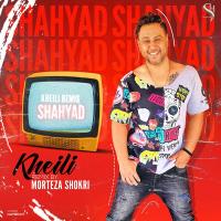 Shahyad Kheili (Remix)