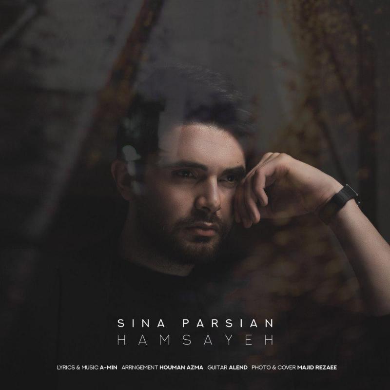 Sina Parsian Hamsayeh