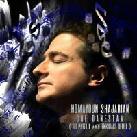 Homayoun Shajarian Che Danestam (DJ Phellix & Enkinaki Remix)