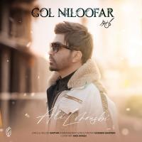 Ali Lohrasbi Gol Niloofar