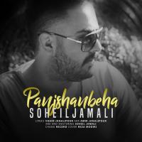 Soheil Jamali Panjshanbeha