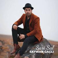 Saywan Gagli Sari Sal