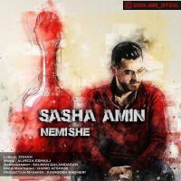 Sasha Amin Nemishe
