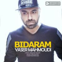 Yaser Mahmoudi Bidaram